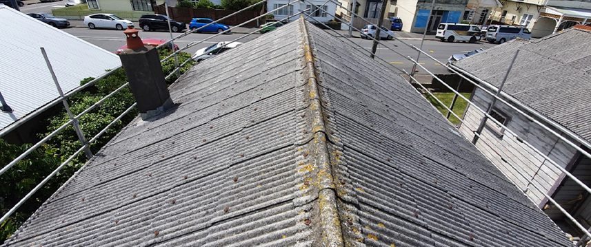 Asbestos growing on a roof